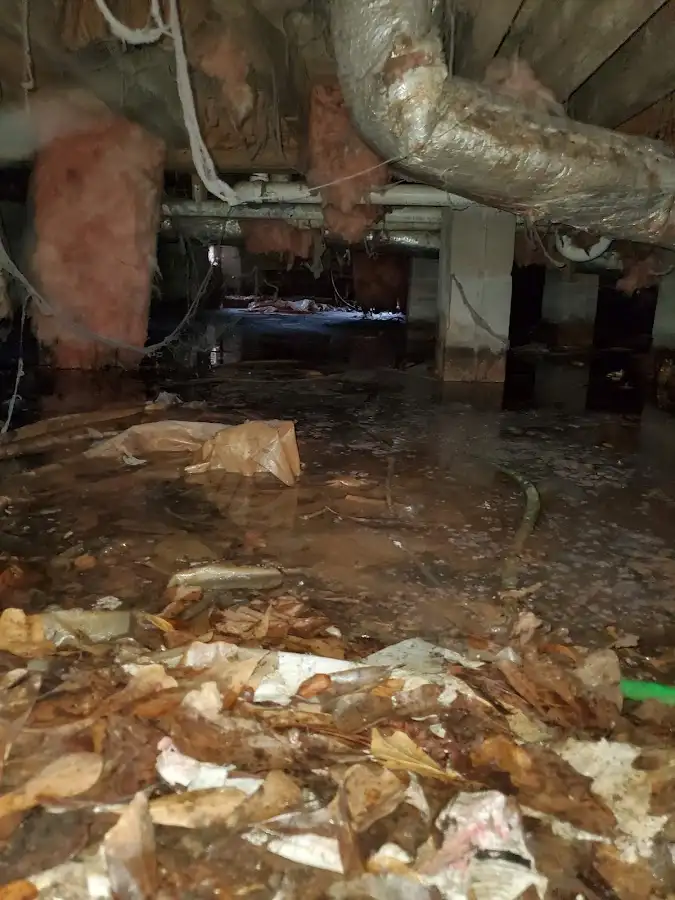 Crawl space flood assessment for Leak Detection & Repair in Marinette